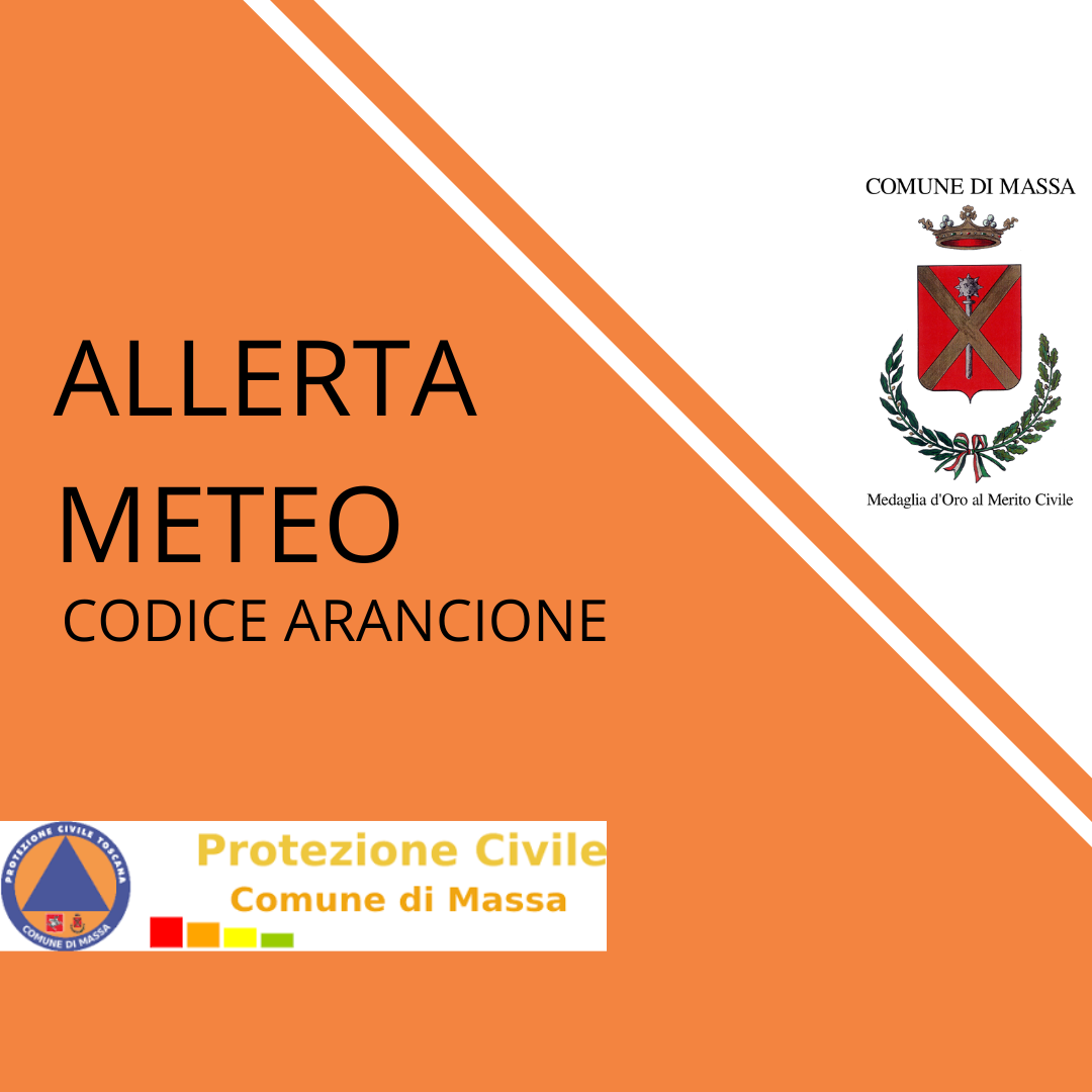 allerta meteo