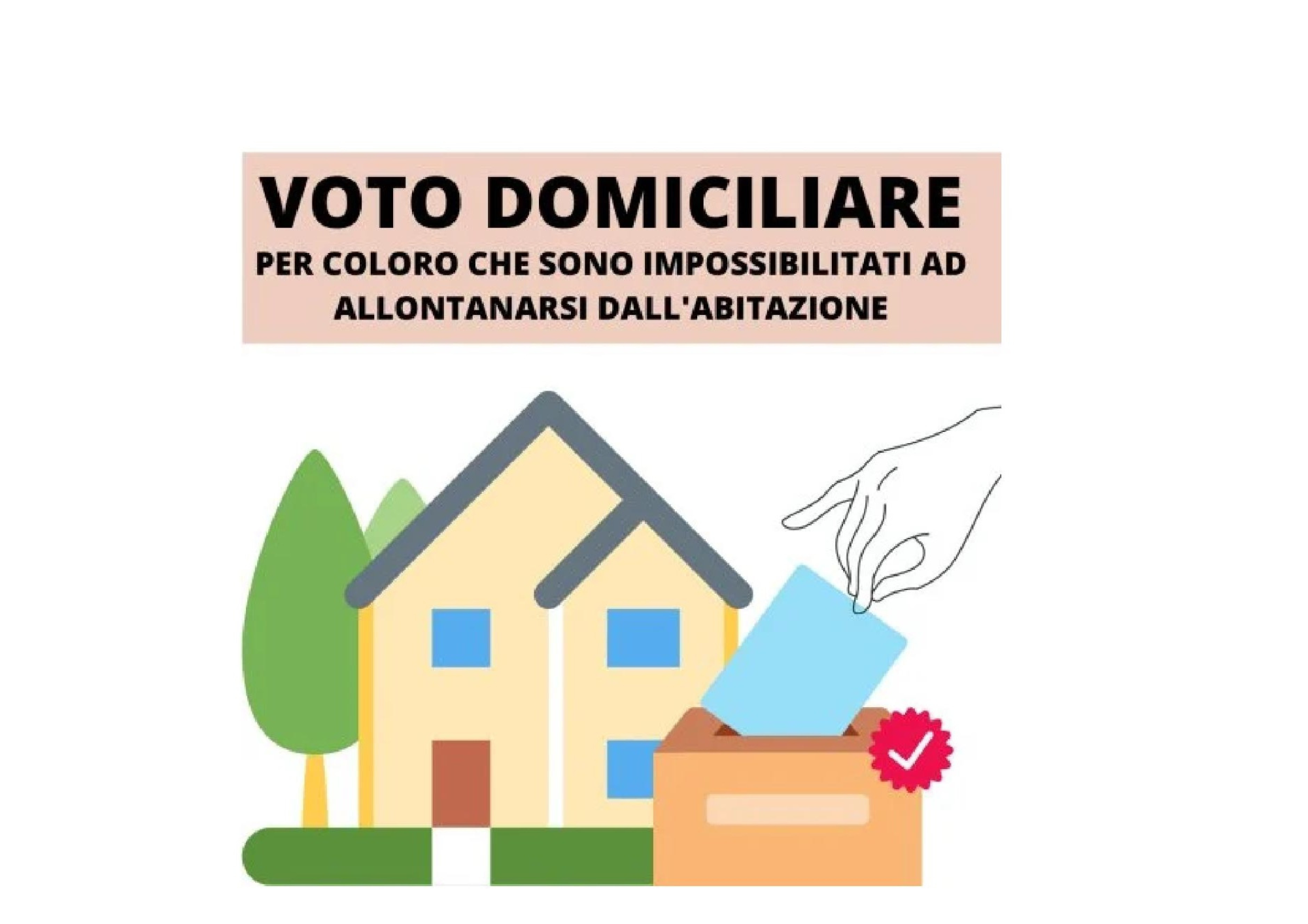 voto domiciliare