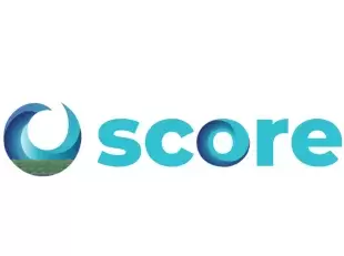 logo score