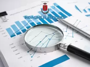indagine di mercato