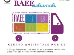 locandina raee