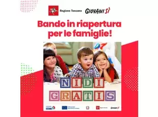 locandina nidi gratis
