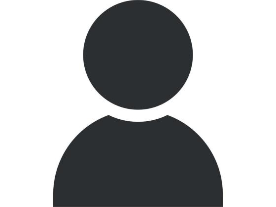 Immagine stilizzata  di una persona